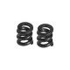 Tamiya TRF-416 Differential Spring 416-10C