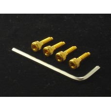 HIRO SEIKE Aluminum 7075 M4 Cap Screw Set [Gold] 69285