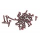 Kyosho Mini Z Overland COLOR SCREW SET(RED) MVF01R