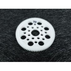 3RAC-SG4879 48 Pitch Spur Gear 79T