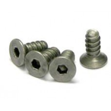 Titanium Screw 1.5mm Flat Head 2.6x4 10pcs TS-027