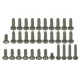 KYOSHO Mini-Z F-1 Titanium Screws Set TS-F1/V1