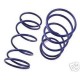 TRAXXAS REVO JATO BLUE 9 LB GTS FS REAR SPRING